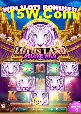 Recursos de Bônus Q89
